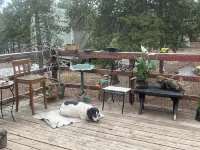 Dog Heaven / Unique mountain home for artists, creators or tech start ups.