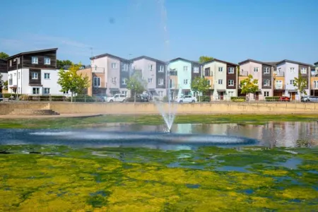 Posh Wetheringsett in Milton Keynes Отели в г. Блетчли энд Фенни Стратфорд