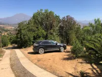 Connect with the Chilean native forest