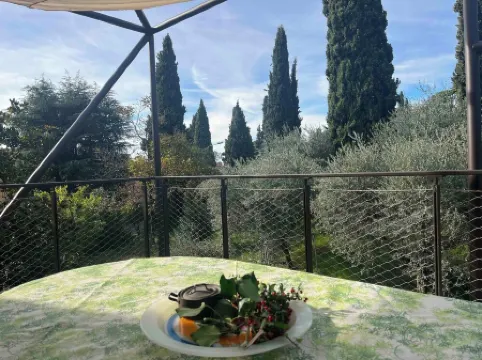 Elegant apartment, villa surrounded by greenery a stone's throw from the lake and the village