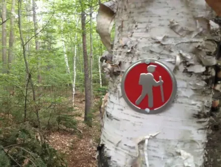 The Log Cabin at PeaceRidge Отели в г. Уилмингтон