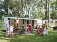 Sunny Chalet in Baia Domizia - Alojamientos