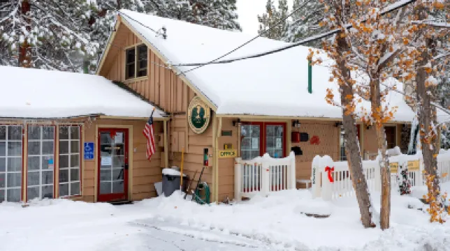 Sleepy Forest Cottages Hotels in 