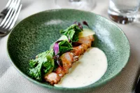 Hotel Phønix Hotels in Vemb