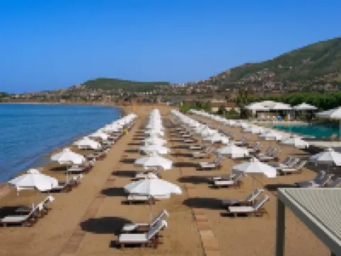 Plaza Resort Hotels in Saronikos