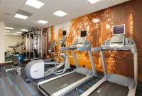 Hotel Indigo CHICAGO-VERNON HILLS by IHG - Træningscentre