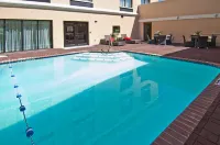 Holiday Inn VICKSBURG by IHG - Pools