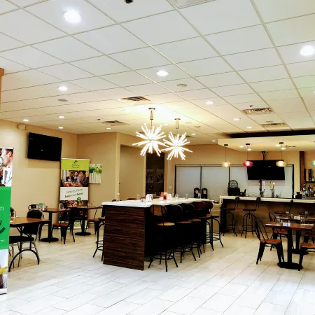 Holiday Inn BROWNSVILLE by IHG