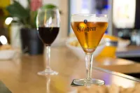 Logis Hôtel Corintel Bordeaux Est - Kæledyr tilladt