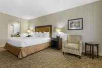 Best Western Plus Big America - Parkering