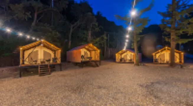 Gapyeong Tiger Camping