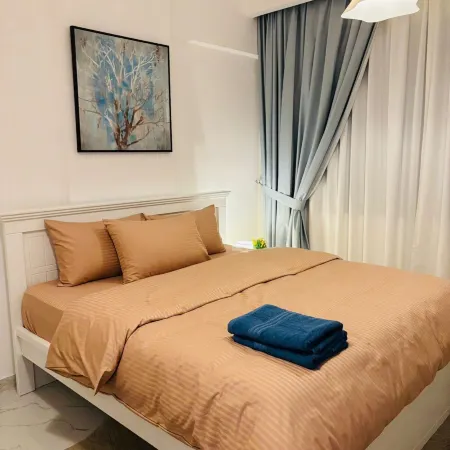Dsv Property