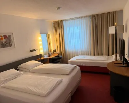 ルーミー ホテル シュリースハイムのホテル