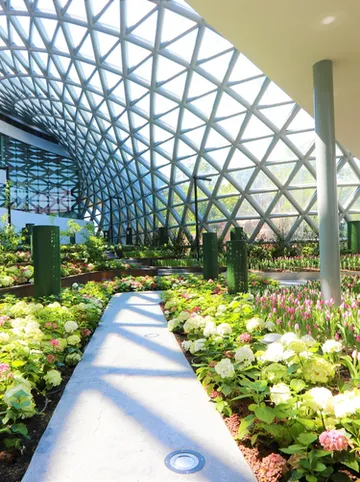 รูปภาพของSCN เพ็ท-เฟรนด์ลี่ โฮเทล