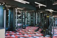 Limelight Mammoth - Gym