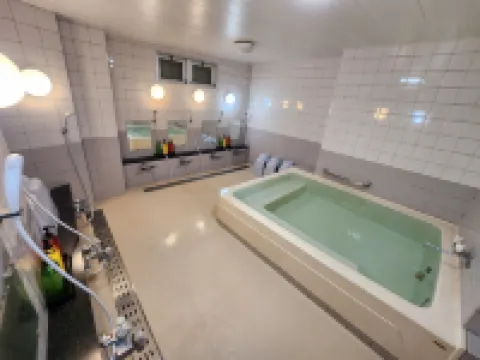 Hotel Aoki Hotels in Ina
