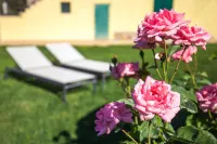 Poggiolivi Agriturismo Bio in Maremma - Homestays