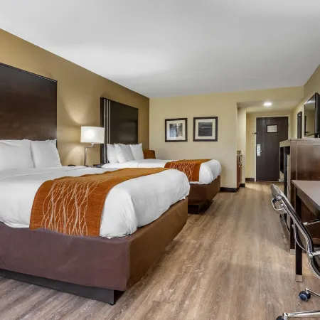 Comfort Inn Near Downtown & Blue Ridge Pkwy