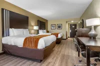 Comfort Inn Near Downtown & Blue Ridge Pkwy