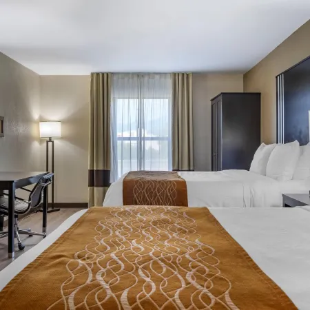 Comfort Inn Near Downtown & Blue Ridge Pkwy