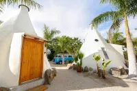 Tipi uno