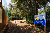 Club del Sole Stella del Mare 家庭精選
