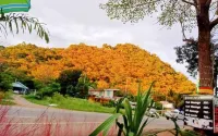 Sawasdee KhaoYai