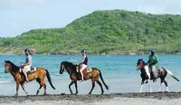 維吉海灘高級房 - 公寓