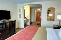 Comfort Inn & Suites - Swimmingpools
