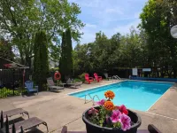 Lakeview Motel & Cottage