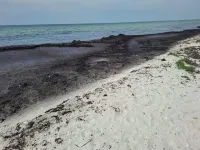 4 Star Holiday Home in Rødby - Beach