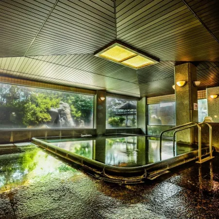 Nara Park Hotel