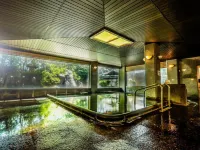 Nara Park Hotel - Suối nước nóng