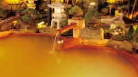 Tosaryu Onsen Sanyoso - balneario