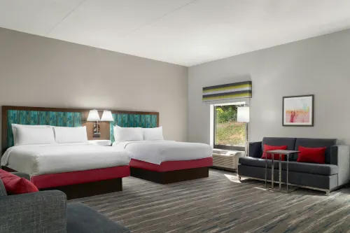 Hampton Inn Roanoke/Hollins-I-81 - 2-Star