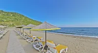 Mukha ORMANLI - Beach