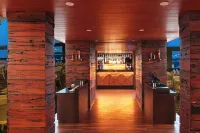 Effotel by Sayaji Indore - bar