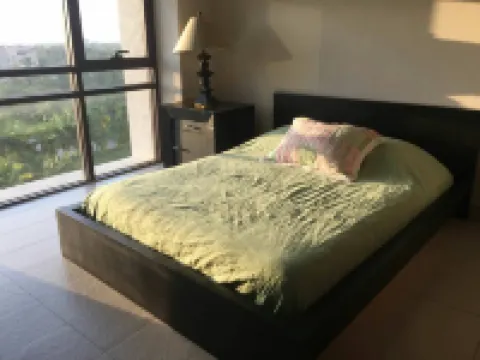 Acapulco Residencial la Isla Depa H707