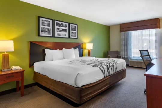 Sleep Inn & Suites Stockbridge Atlanta South