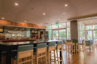 希爾頓花園酒店-達爾文 - 酒吧