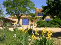 Provence: le Mas des Lavandes - Unit Tilleul with Pool, in the Middle of Nature
