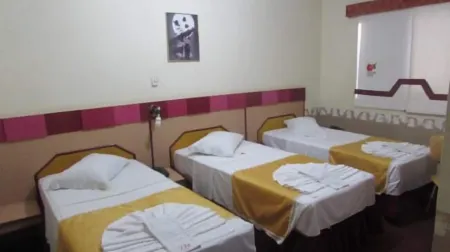 Inter Park Hotel Отели в г. Понта-Поран