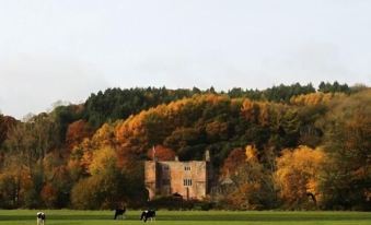 Bickleigh Castle