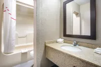 Red Roof Inn Detroit - Farmington Hills - Motels