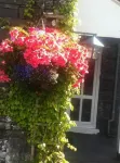 Bluebird Lodge Hotel di Hawkshead