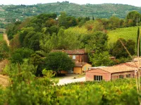 Fattoria Santa Vittoria - Appartamento Upupa #2