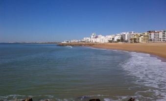 Solgarve