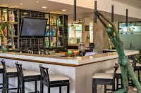 Hotel Palma Real - Bares