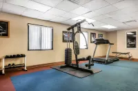 Quality Inn & Suites Binghamton Vestal - Gym