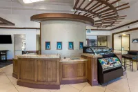 Hyatt Place Atlanta Downtown Hotels in Atlanta